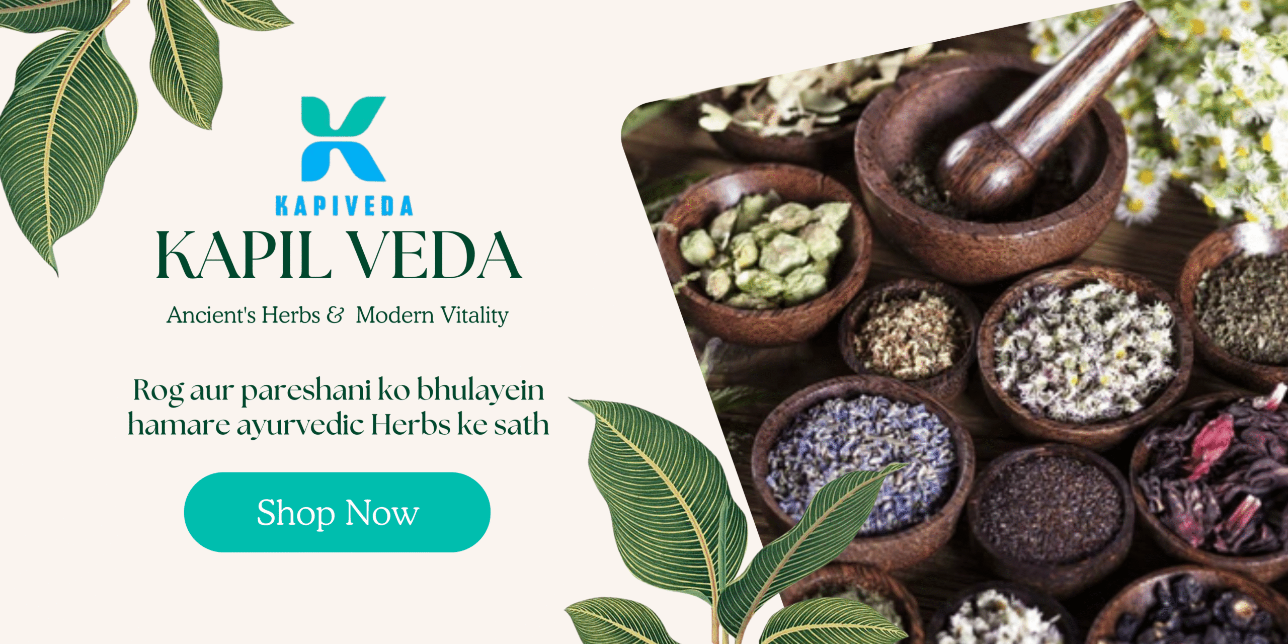 Green Beige Wellness Centre Banner in Natural Style (1)